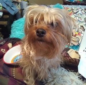 Meet your Posher, Jan